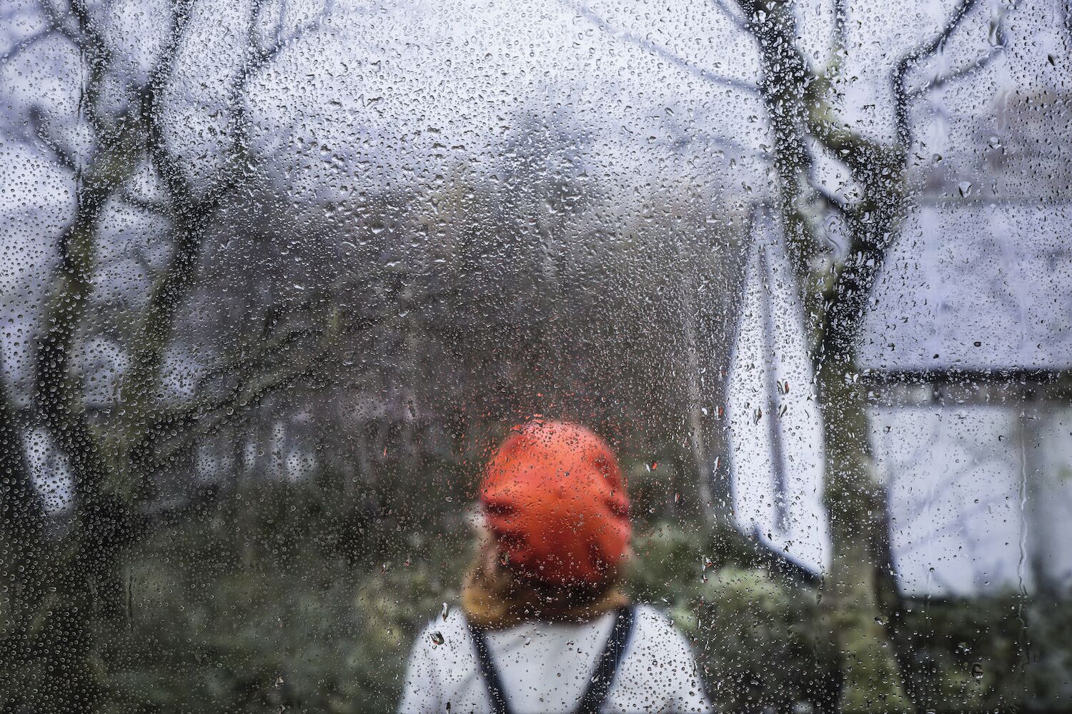 Depression Therese brings heavy rain and wind; 3 degrees in the Azores - News Room USA | LNG in Northern BC