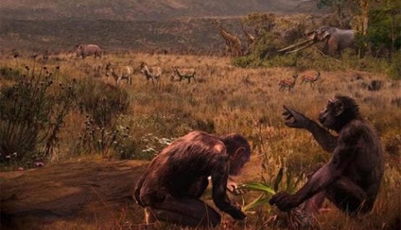 Femur found in Bulgaria fuels theory that we did not come from Africa, but from Europe