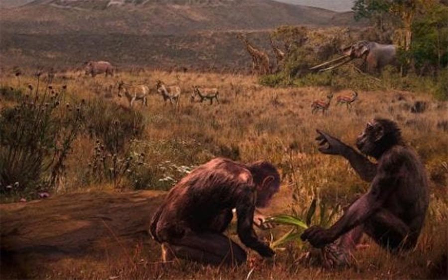 Femur found in Bulgaria fuels theory that we did not come from Africa, but from Europe