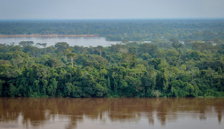 A hidden carbon vault in Africa is starting to leak