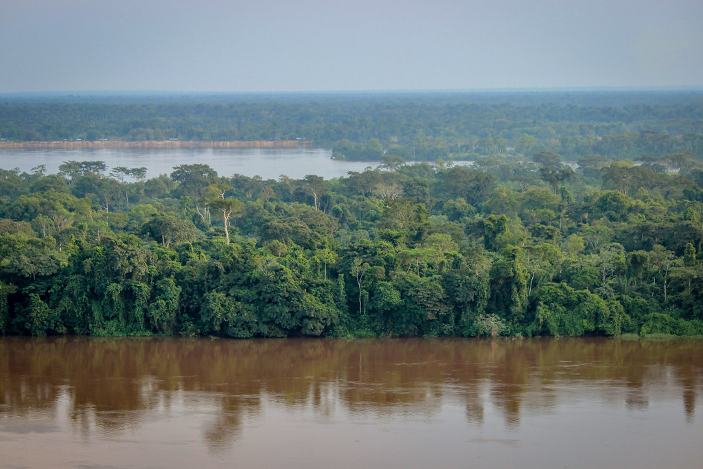 A hidden carbon vault in Africa is starting to leak