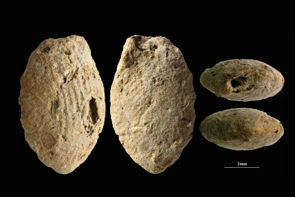 15,000-year-old clay beads may reveal the origins of agriculture