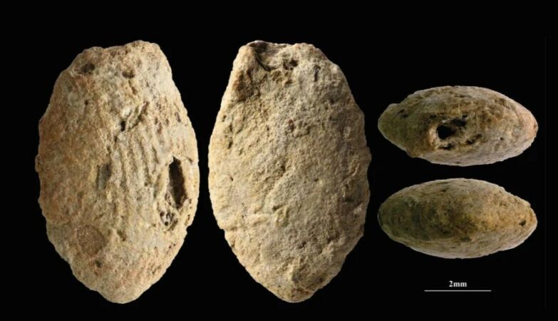 15,000-year-old clay beads may reveal the origins of agriculture