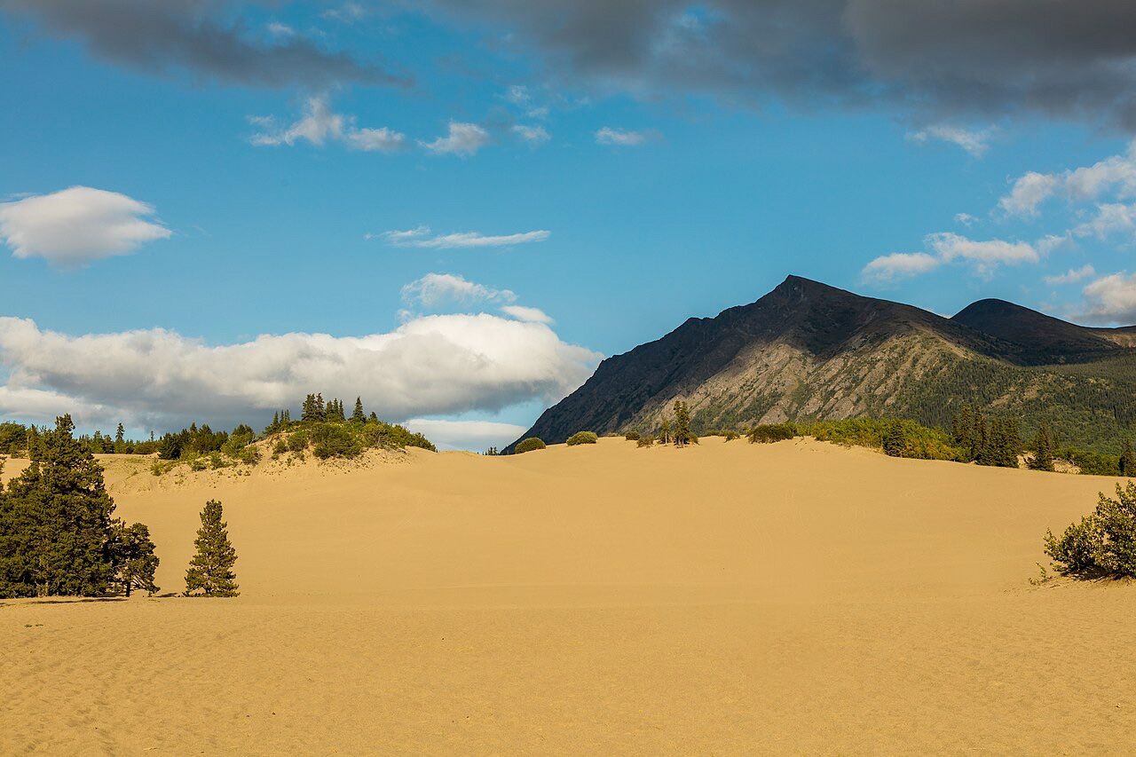 The world's smallest desert is somewhere unexpected (and by 2 cm it's not a desert)
