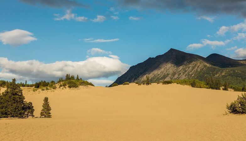 The world's smallest desert is somewhere unexpected (and by 2 cm it's not a desert)