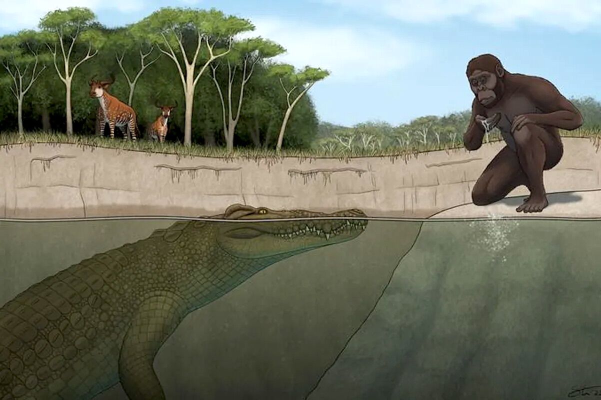 “Lucy Hunter.” 3 million years ago a huge crocodile hunted hominids
