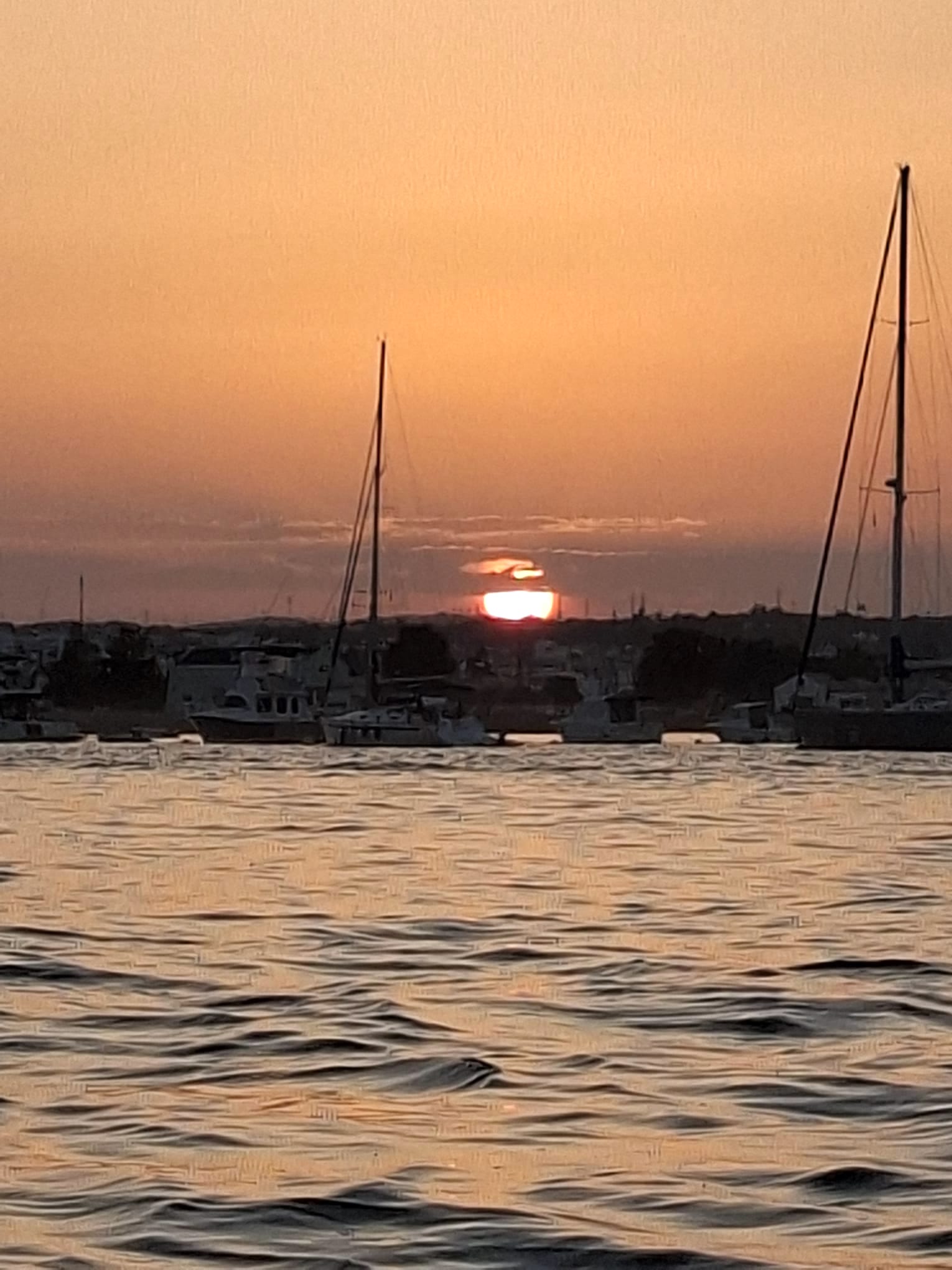 Company Séqua Tours invests in innovation and reinforces tourist offer in Ria Formosa