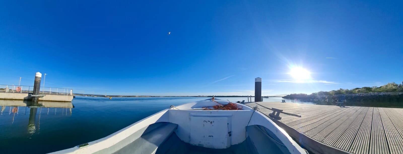 Company Séqua Tours invests in innovation and reinforces tourist offer in Ria Formosa