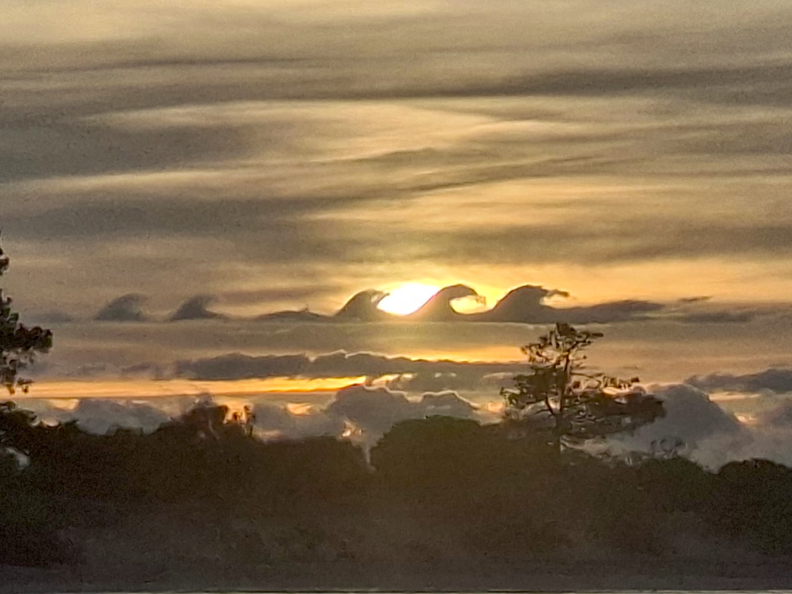 Company Séqua Tours invests in innovation and reinforces tourist offer in Ria Formosa