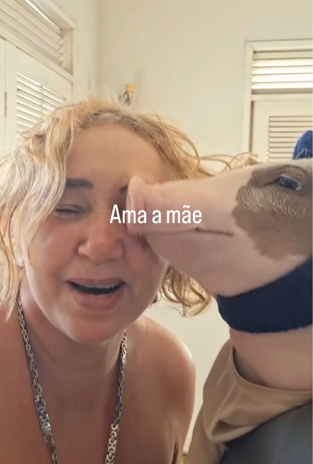 Living with a pig makes an influencer abandon meat consumption