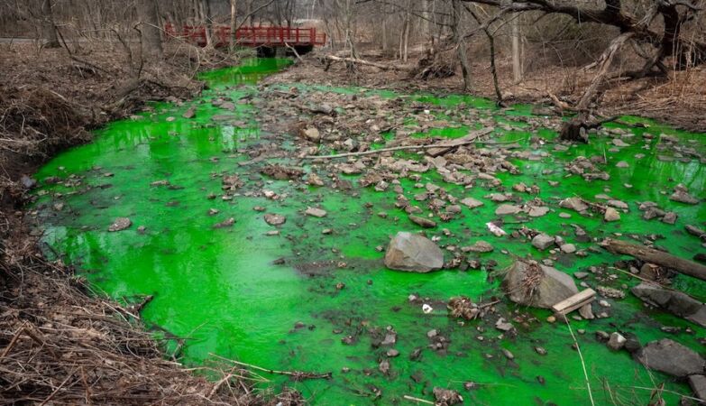 New York “painted” a stream emerald green. The reason is disgusting