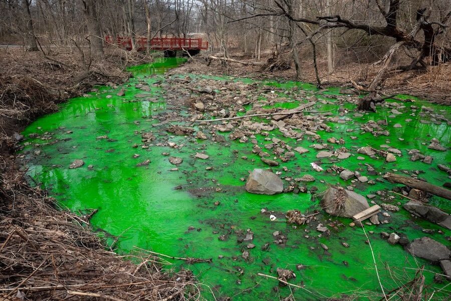 New York “painted” a stream emerald green. The reason is disgusting