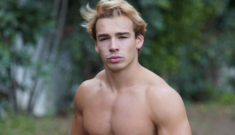 Schools will no longer be able to have porn actors naked on the playground