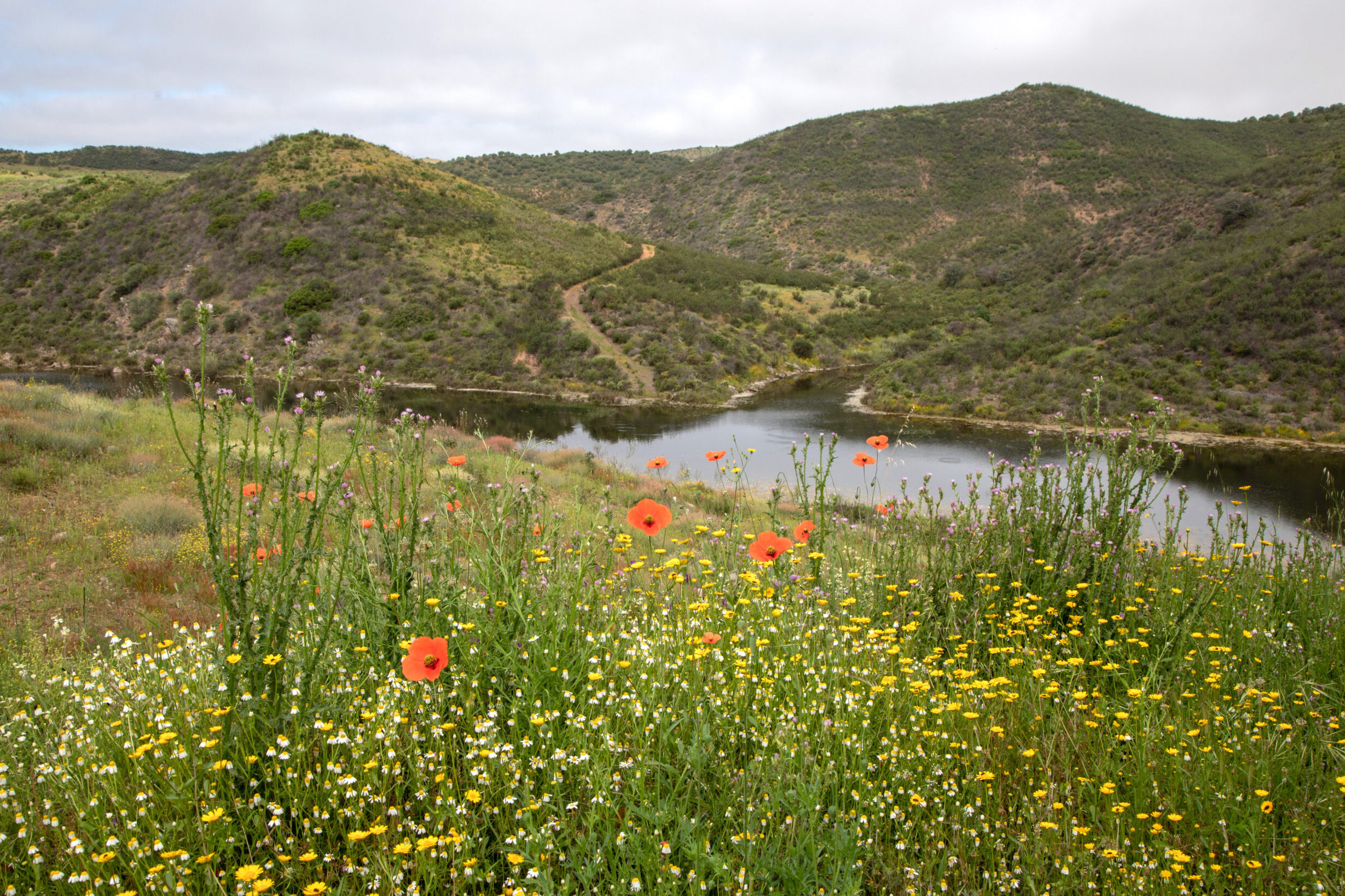 Alcoutim debates local development at Jornadas do Mundo Rural