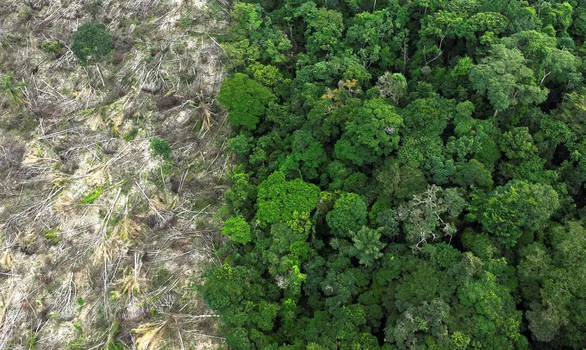 Acre registra menor índice de desmatamento na Amazônia Legal em fevereiro