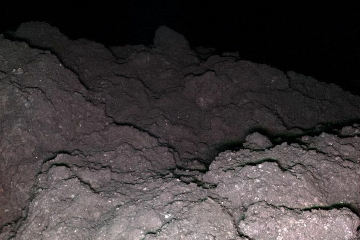 Ryugu has the 5 essential genetic ingredients for life on Earth