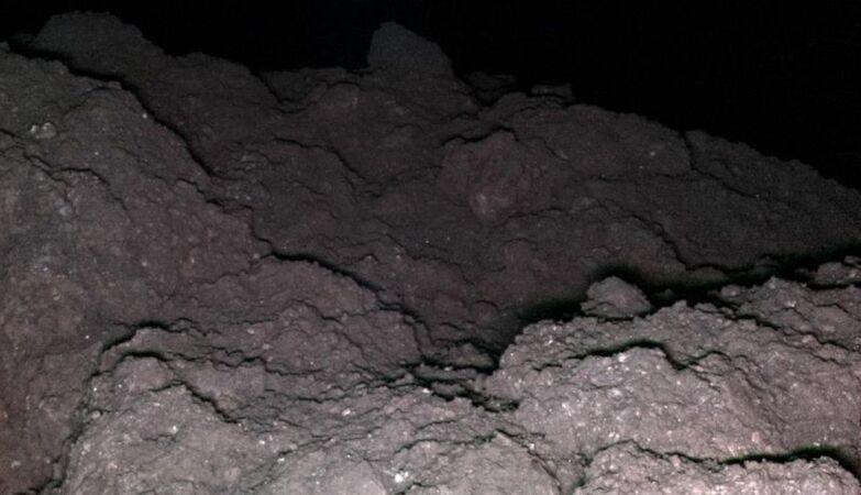 Ryugu has the 5 essential genetic ingredients for life on Earth