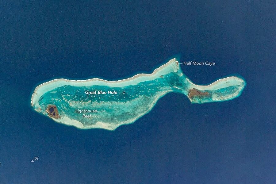 NASA photographed a “whale” 42 km long (with a strange hole in the middle)