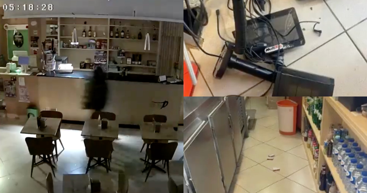 Historic cafe in Porto has already been robbed 23 times: “We live in a climate of terror”