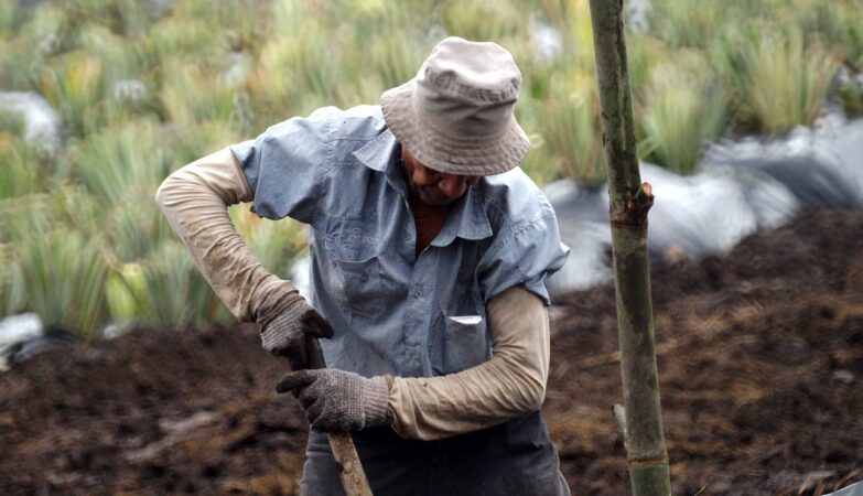 Because of the war, some people are no longer able to work in Portugal