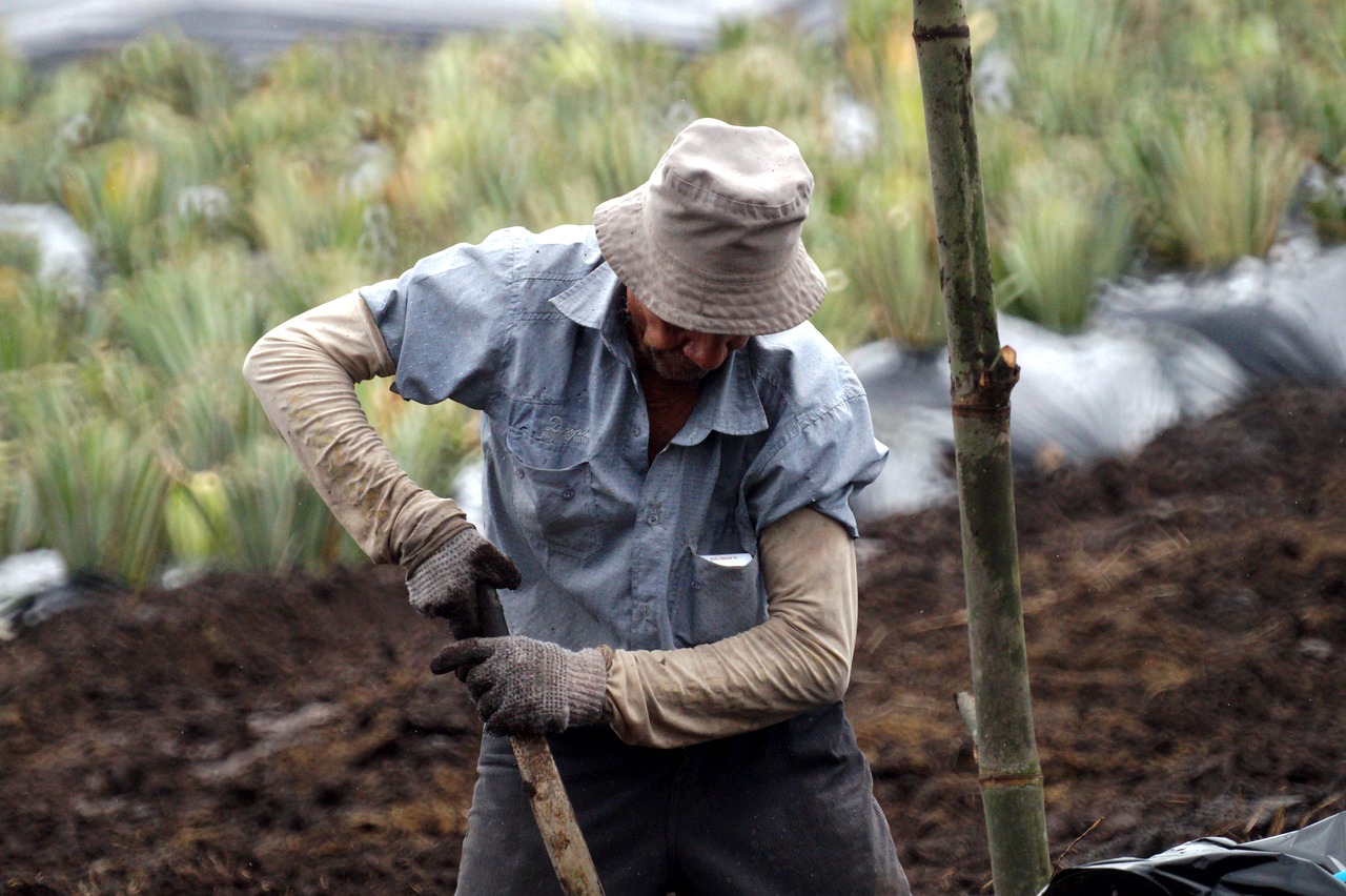 Because of the war, some people are no longer able to work in Portugal