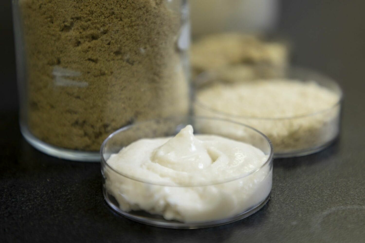 Is rice cheese the next big superfood?