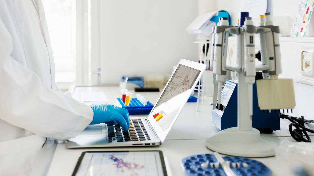 Raja Yehia, quantum physicist in Barcelona, ​​on the use of research for military purposes: "No one wants to see the elephant in the room"