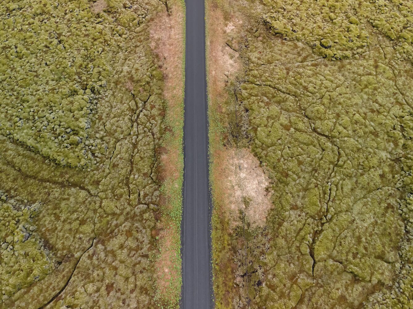 Moss promises to end flooding on roads