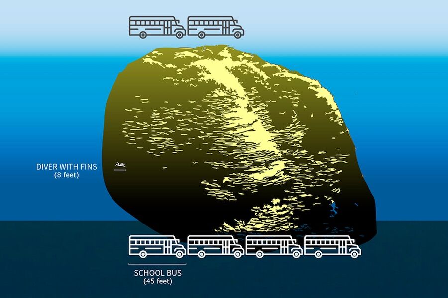 A colossal living organism that was born before Christ was found in the Mariana Trench