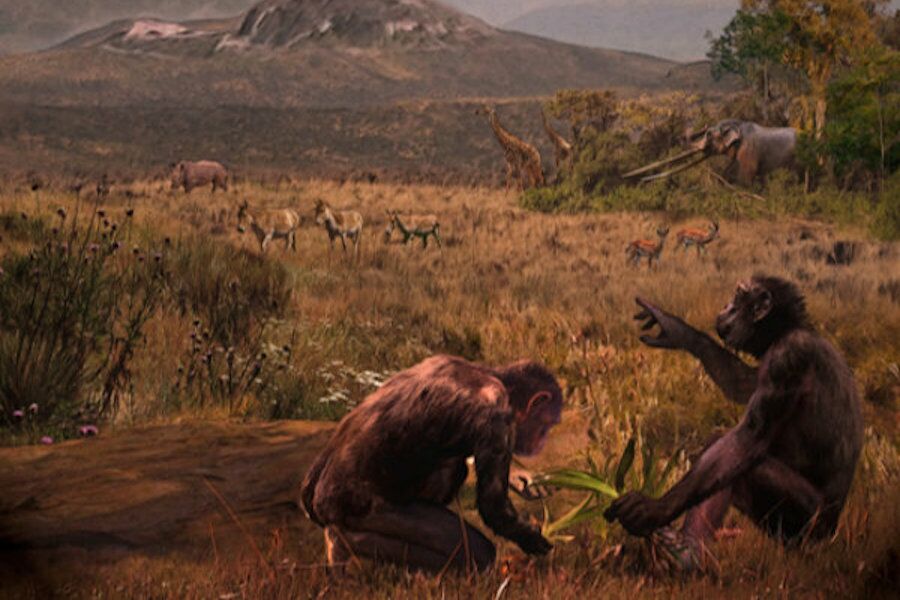 A mysterious monkey may have evolved a fundamental human trait