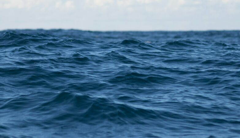 Most studies failed to analyze sea level