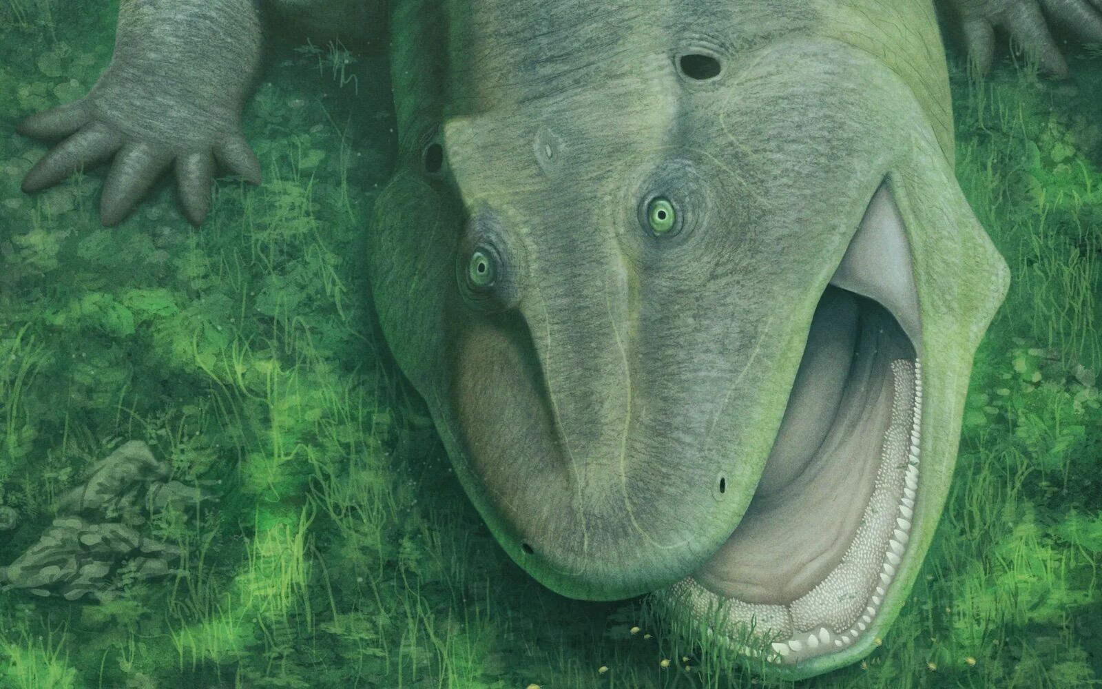 Bizarre salamander ancestor before dinosaurs had sideways teeth