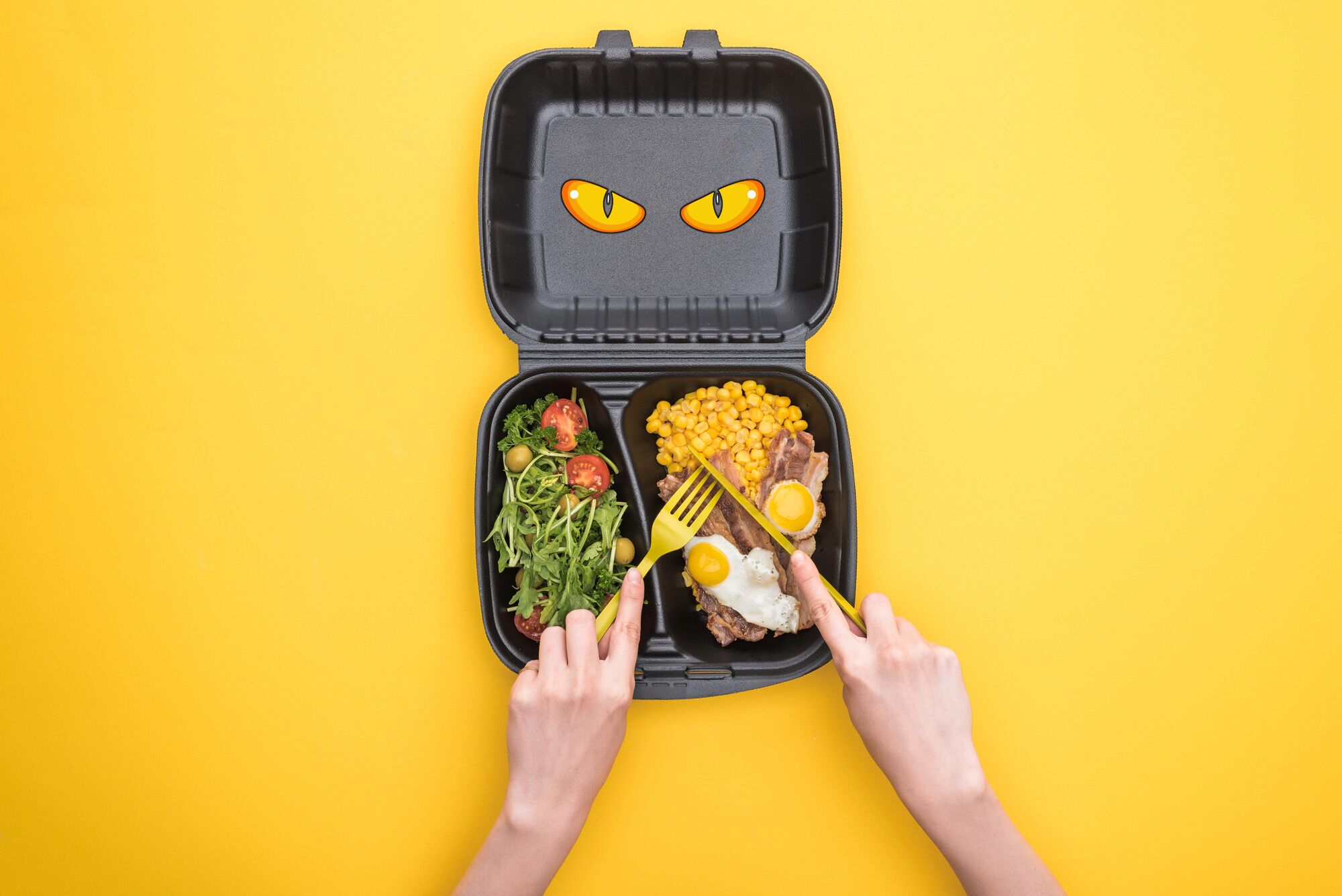 Drawing eyes on food packaging could be the key to keeping seagulls away