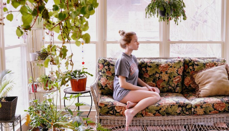 How did plants come to land from the sea and change our lives forever?