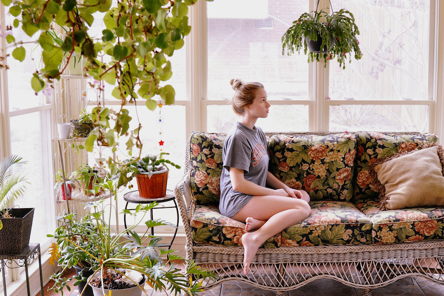 How did plants come to land from the sea and change our lives forever?