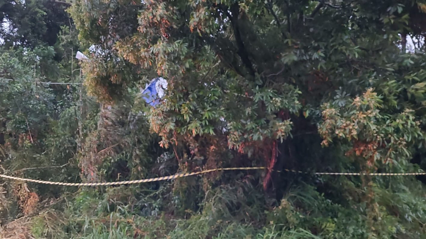 Single-engine plane crashes after hitting electrical wiring during heavy rain and pilot dies in the accident