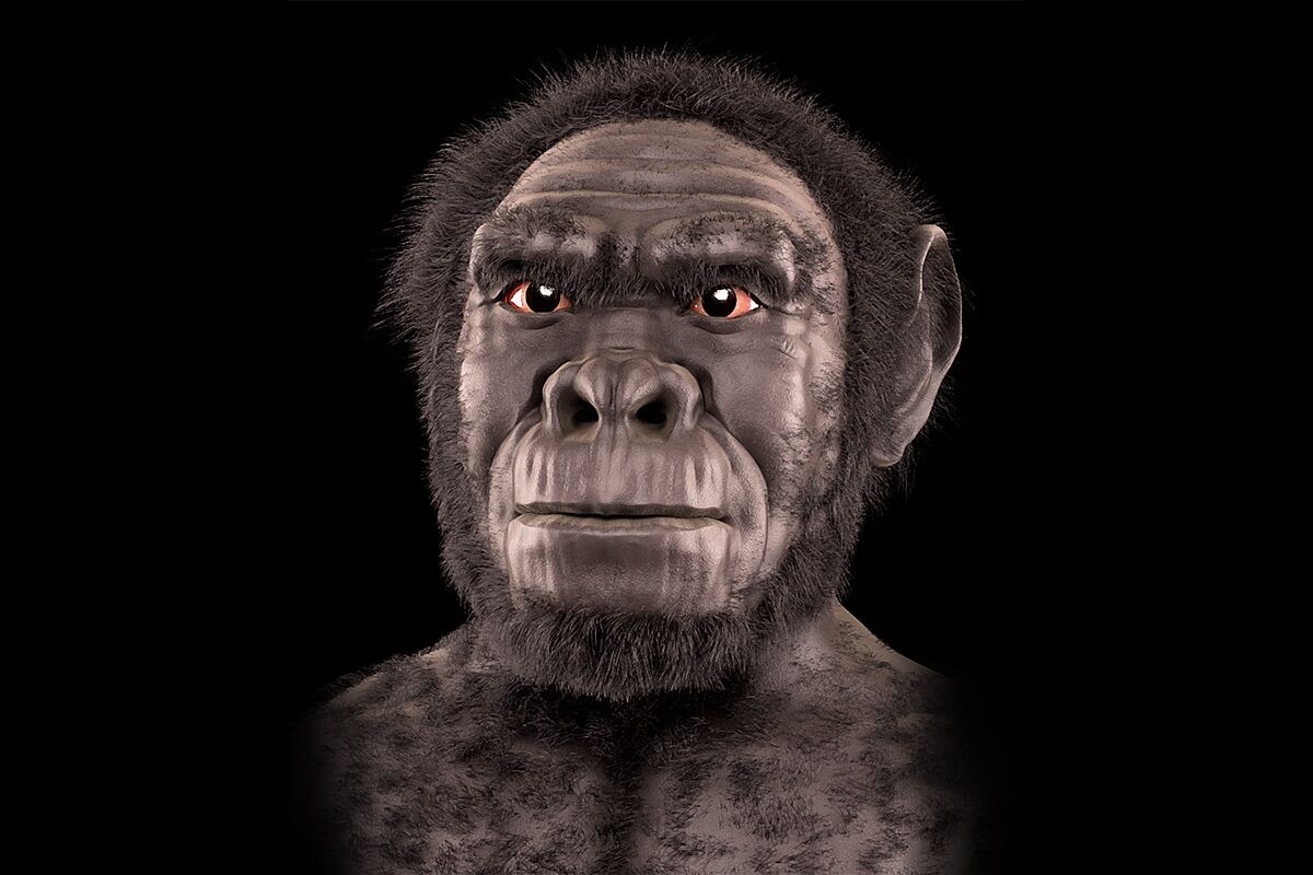 The oldest human species may not even be human after all