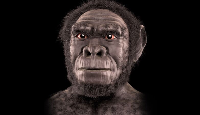 The oldest human species may not even be human after all