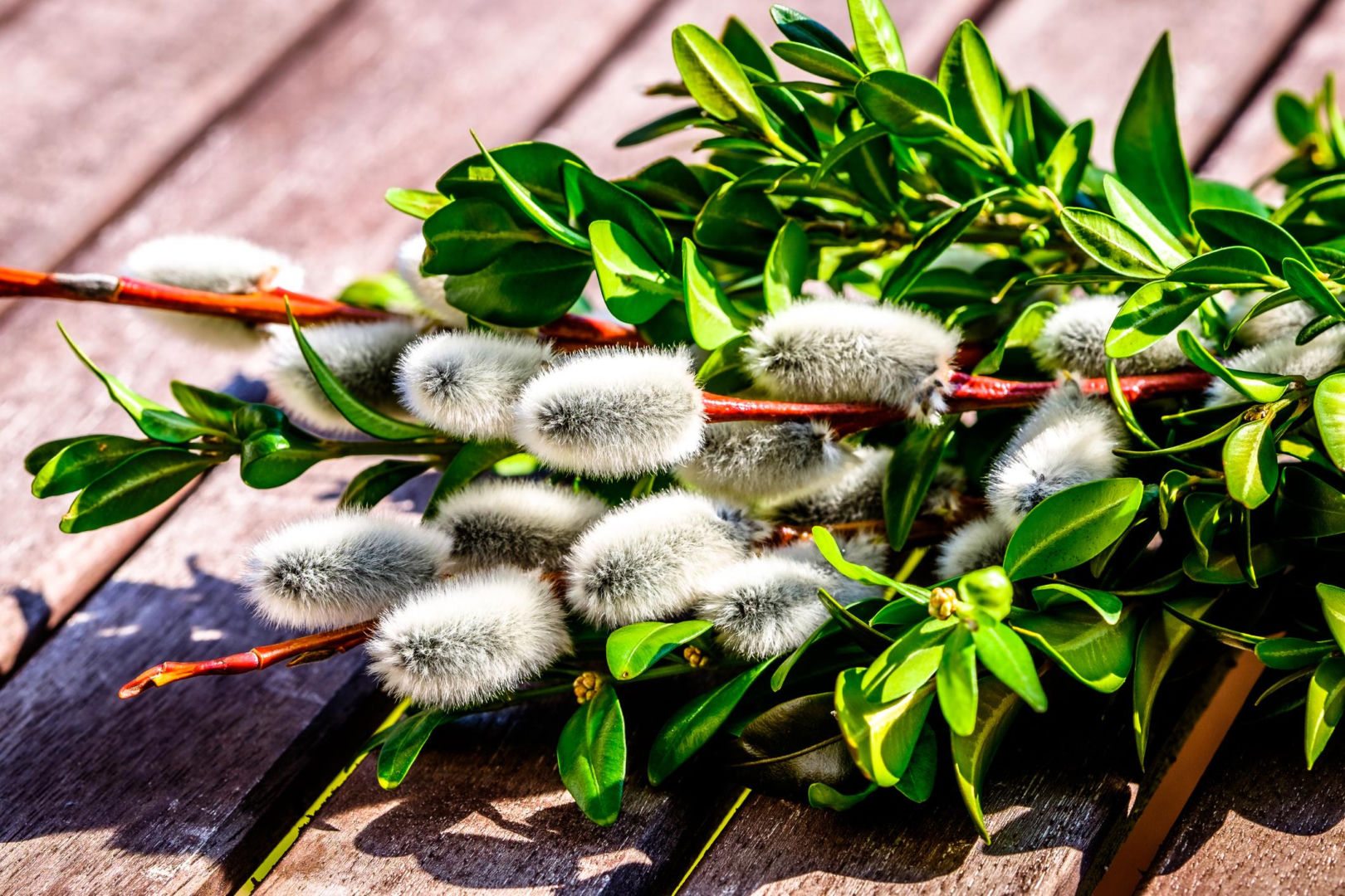 Easter tradition A handmade Easter palm made of boxwood in just a few moments. Just a few twigs are enough