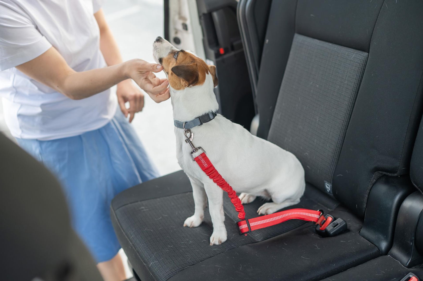 Tips for dog and cat owners Soak and wipe the car upholstery. You can remove pet hair from it without any problems. How to remove fur from car upholstery