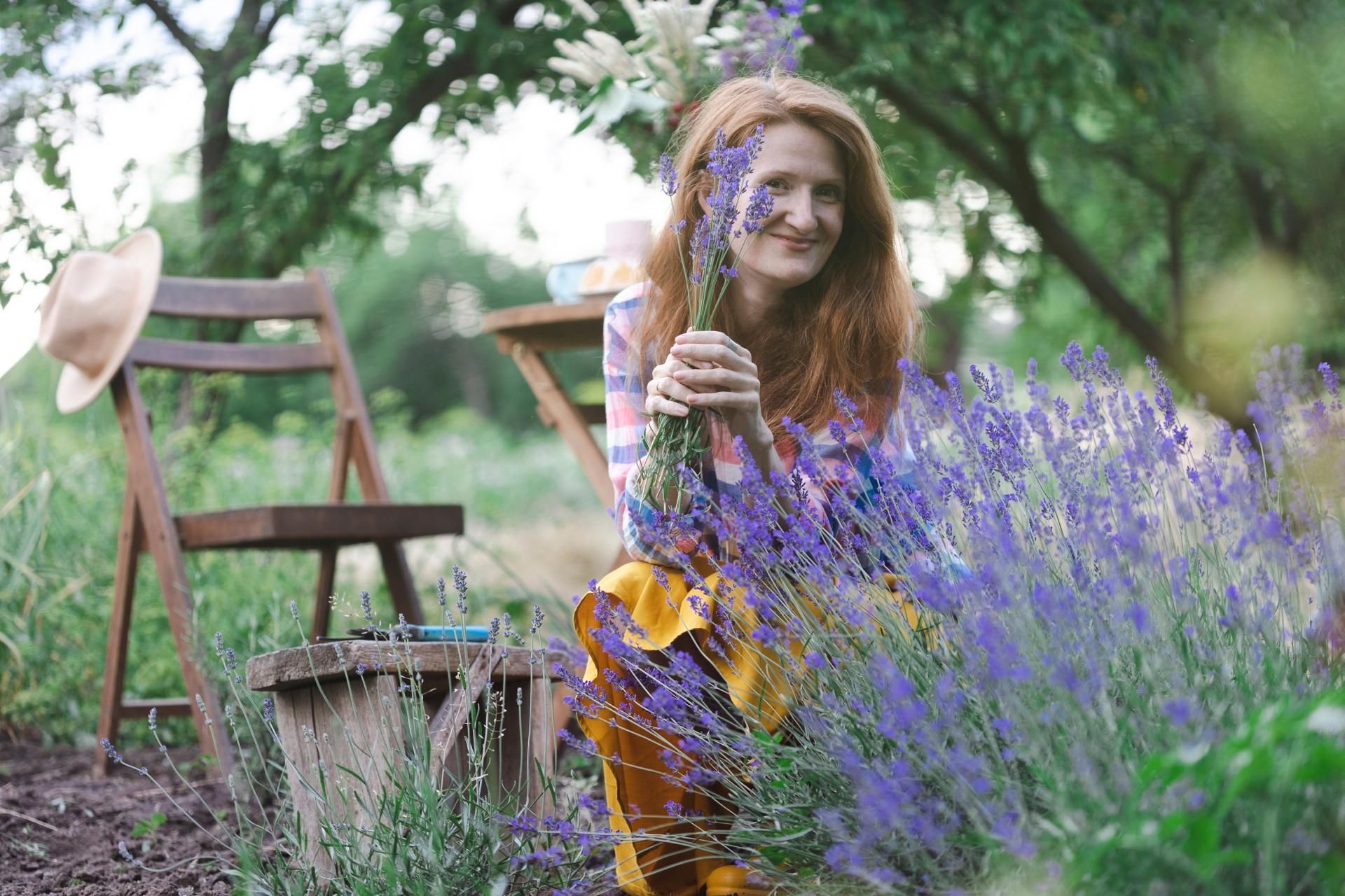 Flower garden My neighbor told me a recipe for fertilizing lavender. Since I have been using it, lavender blooms until autumn. Natural fertilizer that works better than purchased extracts