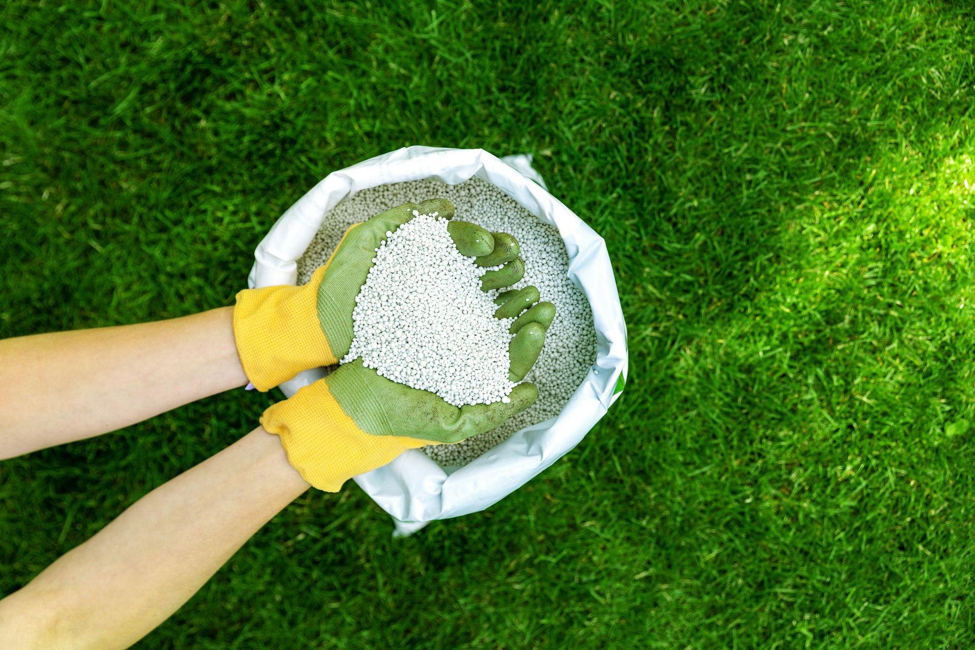 Spring is coming What time of day is the best time to fertilize the lawn! This may be even more important than whether it rains. Remember this and the grass in your garden will be greener than your neighbors