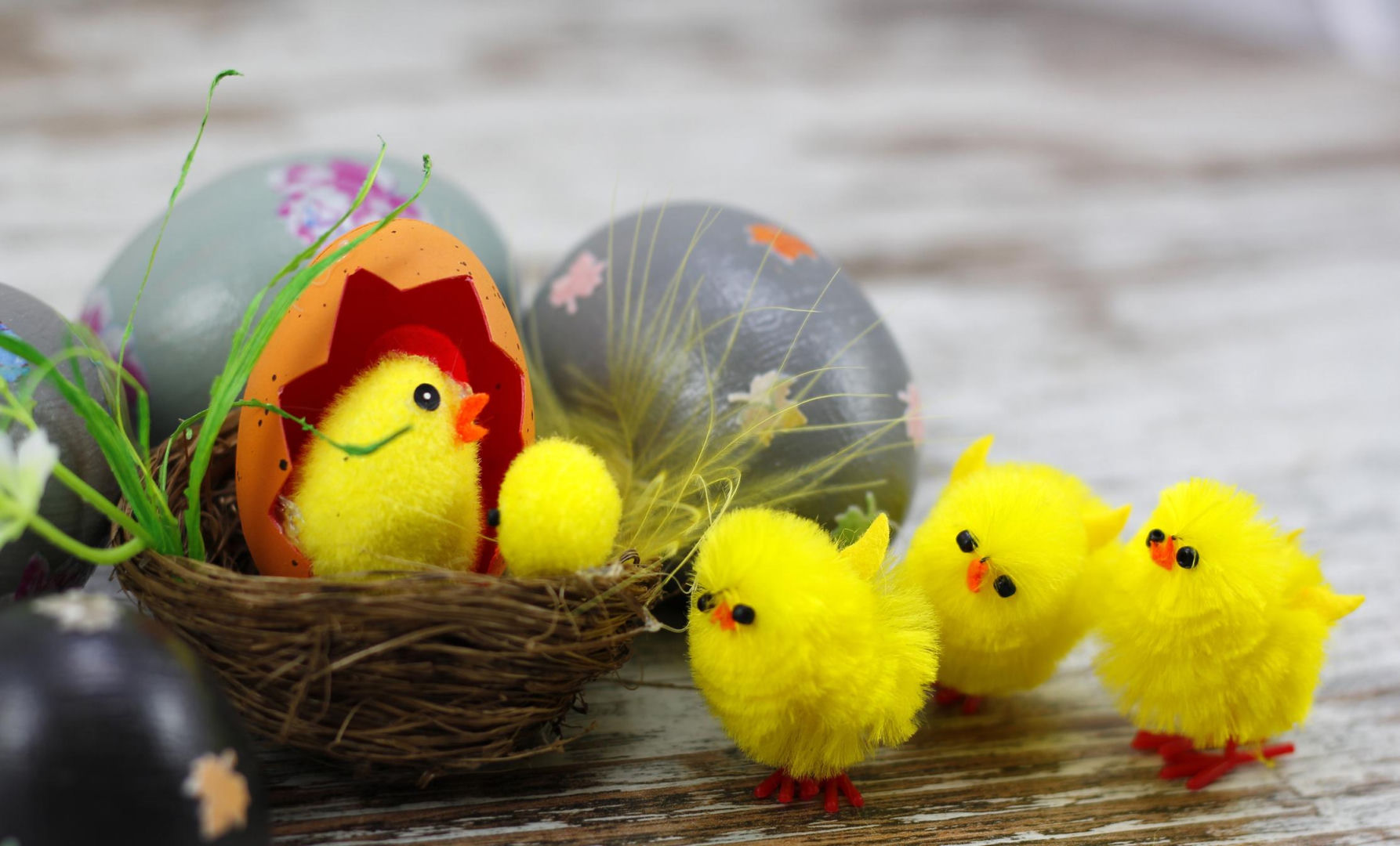 Holiday traditions Why do we put Easter chicks in a basket? Few people know the real meaning