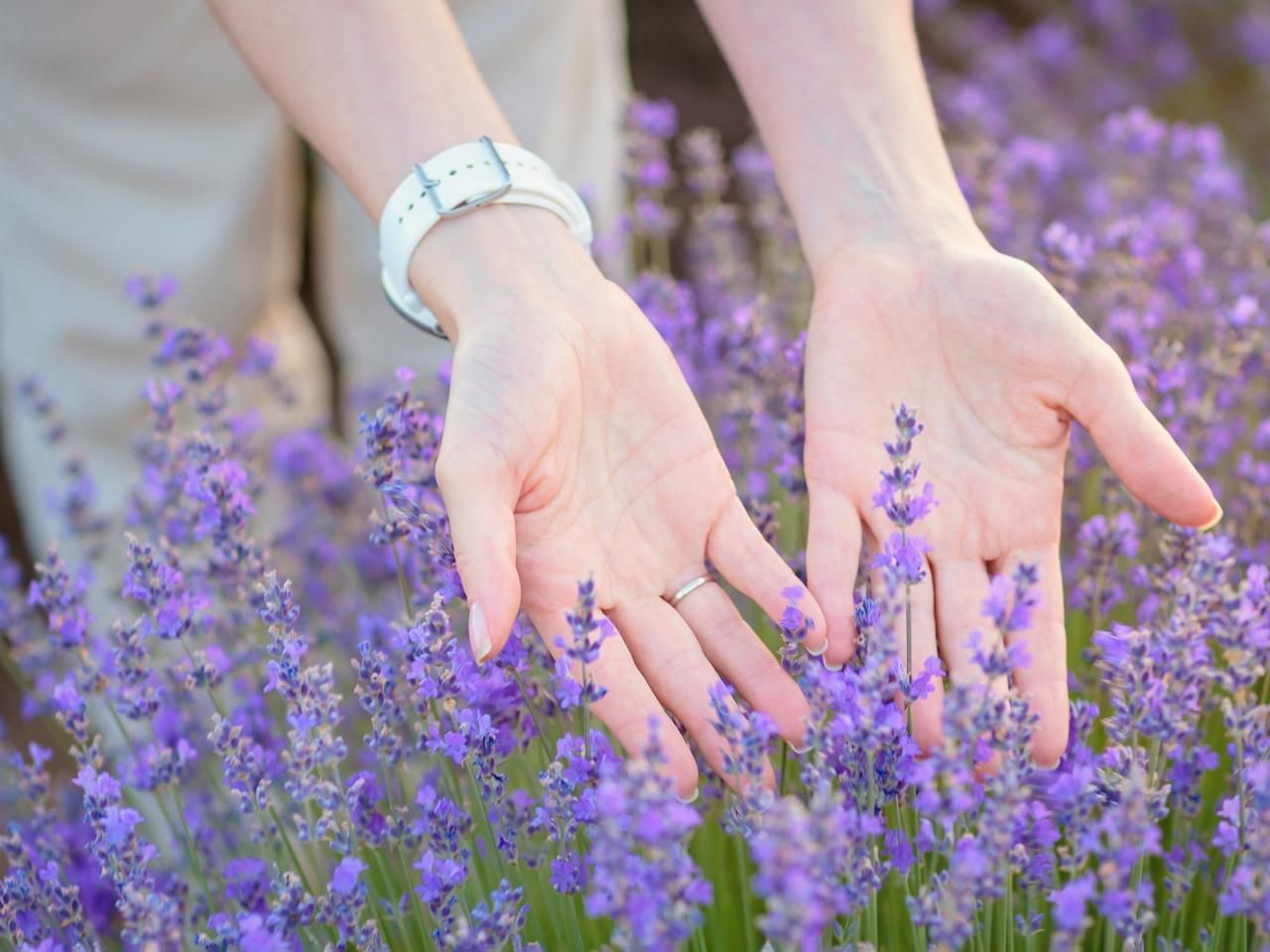 Nutrition of garden plants Sprinkle around lavender in March. In summer it will smell intensely like original perfume. Homemade lavender fertilizer in spring