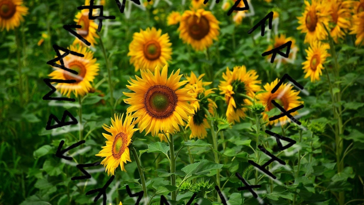 Horoscope March 24, 2026. Tensions with bosses and relationship problems may arise today