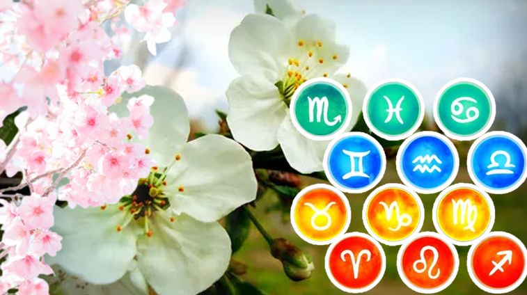 HOROSCOPE March 11, 2026. The common good is more important now than satisfying petty, oversized prides