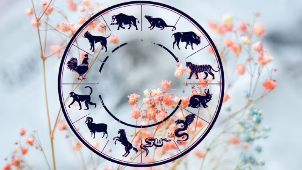 Financial and professional success for 6 Chinese zodiac signs. Lucky natives during this period