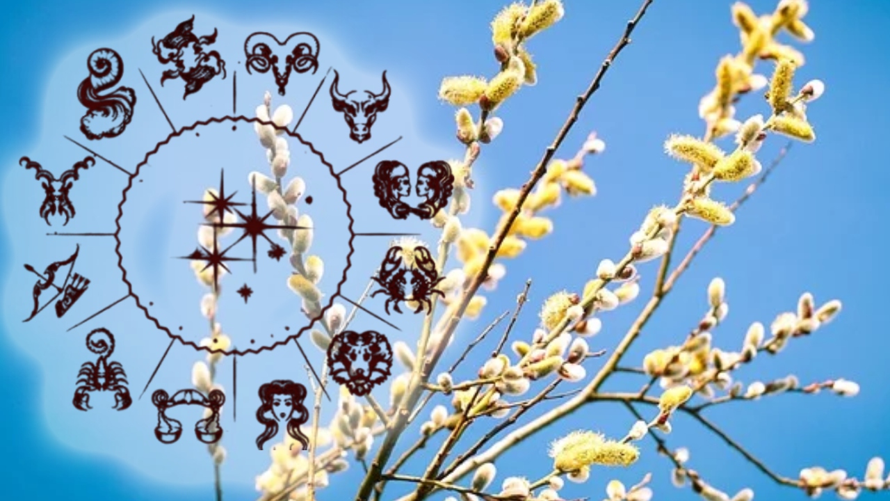 Two zodiac signs share success and happiness with Flowers. Natives who succeed in fulfilling their desires