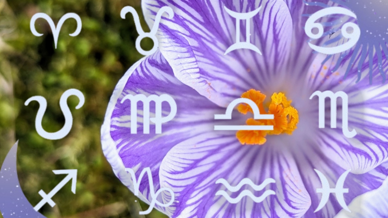 The zodiac that blooms in March. Astrologers predict happiness and luck on all planes for these natives