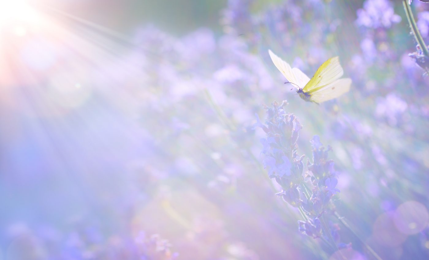 Horoscope April 2026. spring comes with subtle but decisive upheavals. What astral EVENTS can change our lives this month?